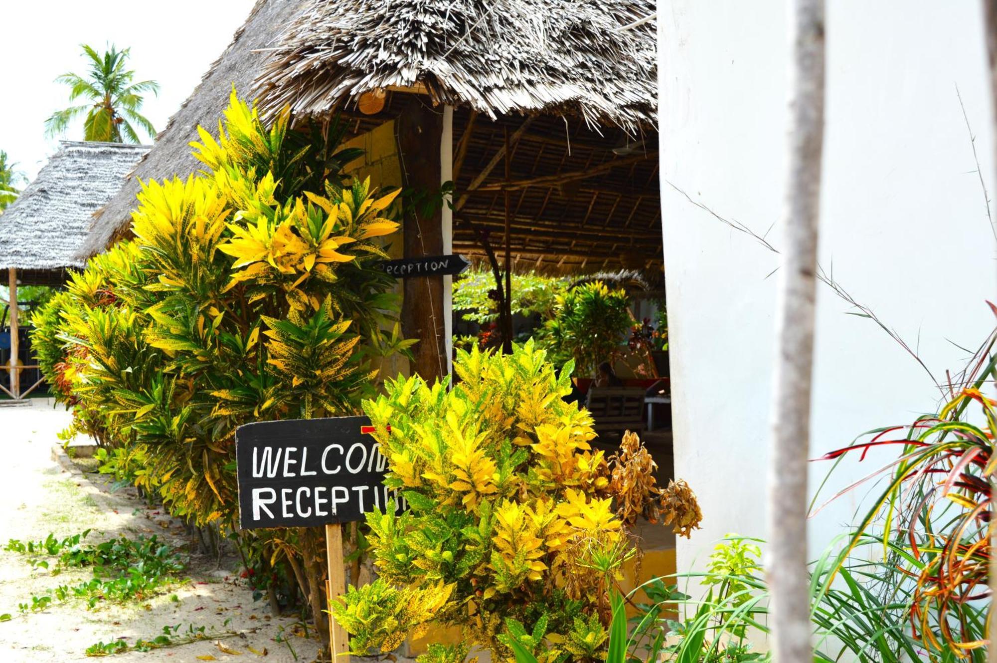 New Jambo Bungalows パジェ エクステリア 写真