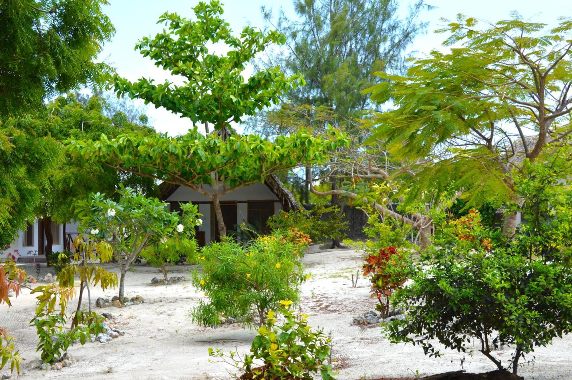 New Jambo Bungalows パジェ エクステリア 写真